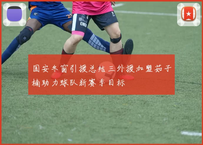 国安冬窗引援总结三外援加盟茹子楠助力球队新赛季目标