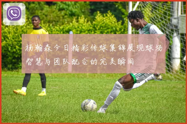 杨瀚森今日精彩传球集锦展现球场智慧与团队配合的完美瞬间